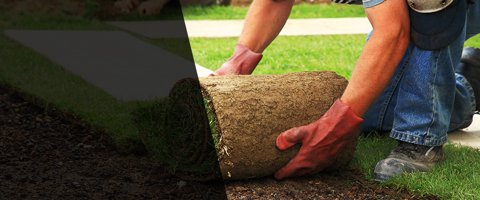 Kamuela Landscapers